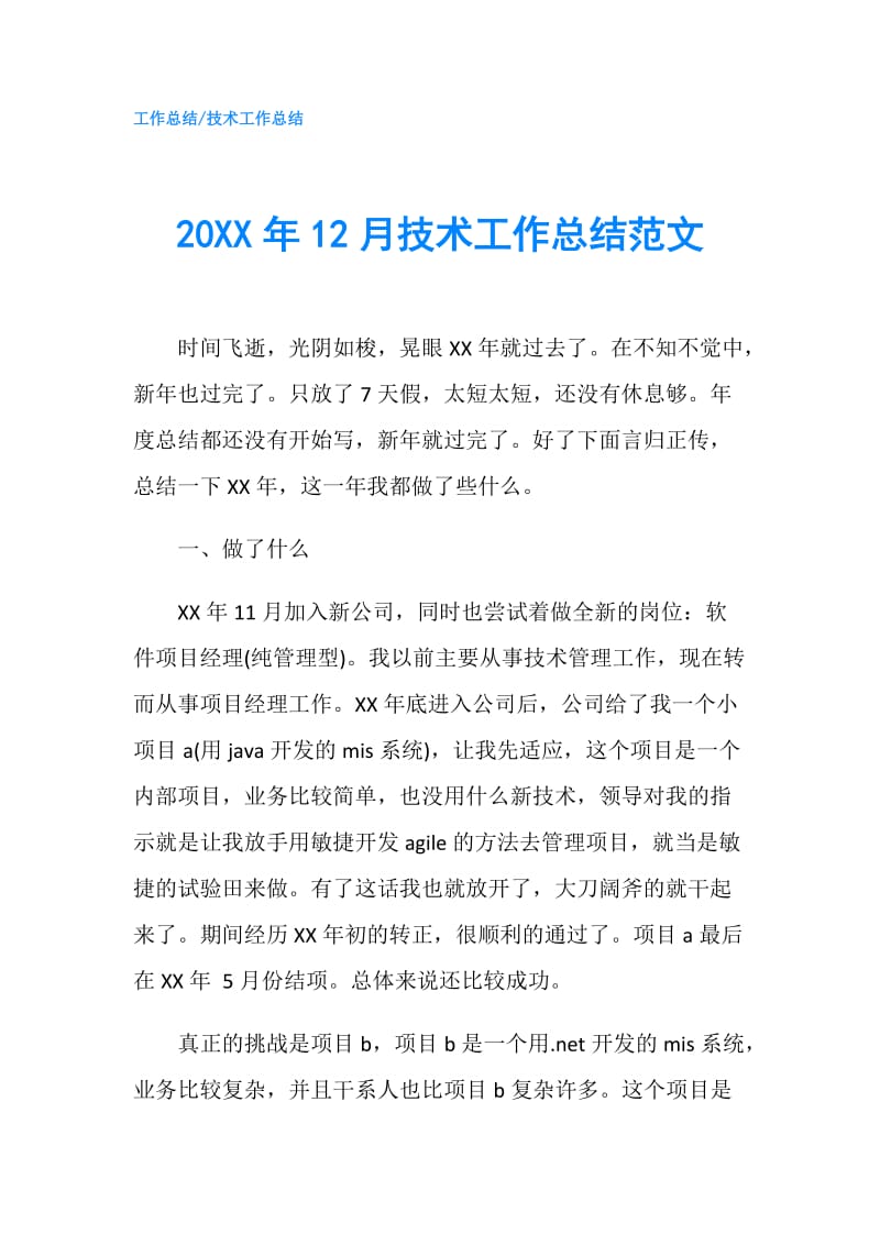 20XX年12月技术工作总结范文.doc_第1页