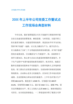 20XX年上半年公司黨委工作暨試點工作現(xiàn)場會典型材料.doc