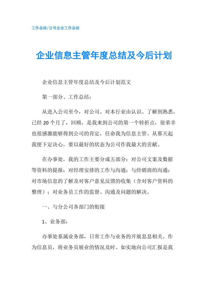 企业信息主管年度总结及今后计划.doc_第1页