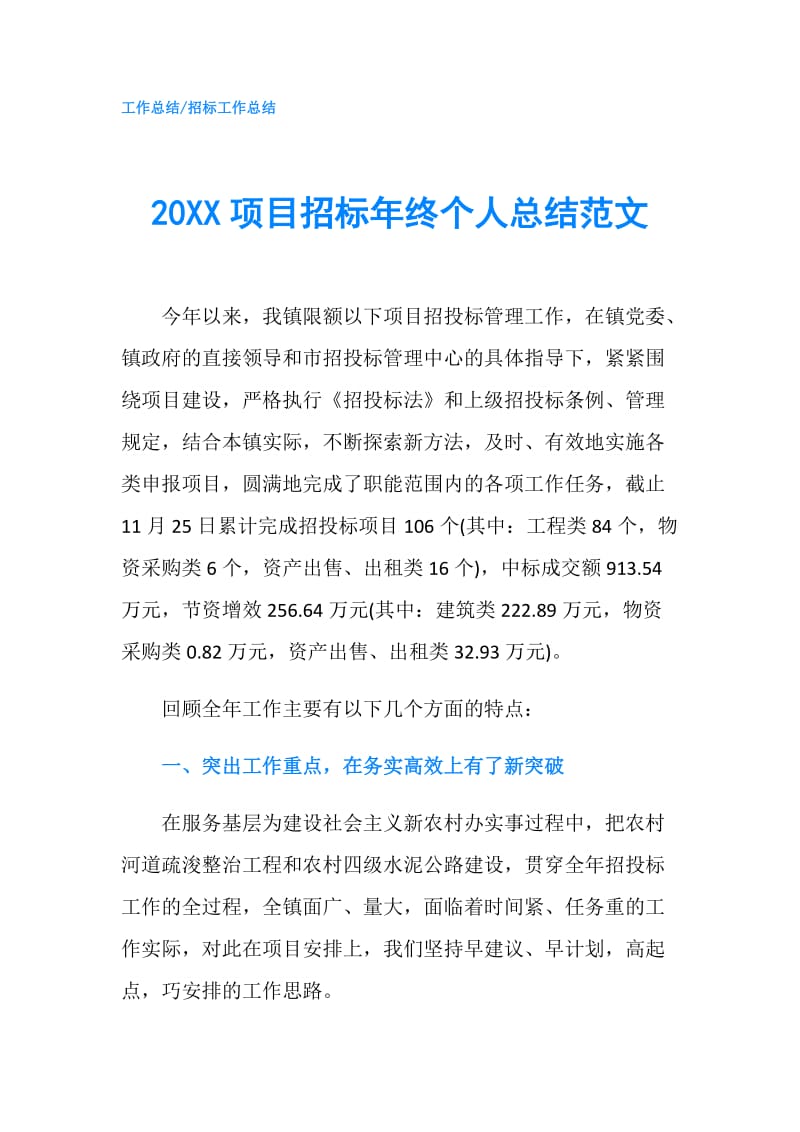 20XX项目招标年终个人总结范文.doc_第1页