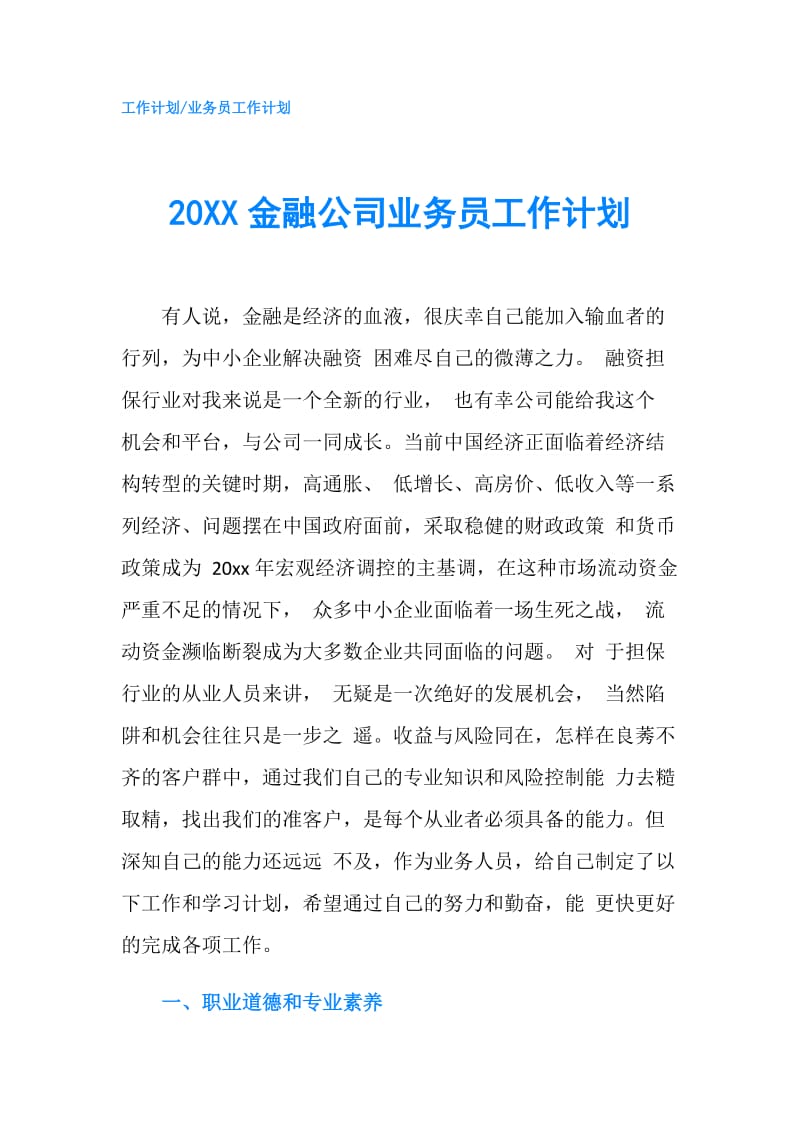 20XX金融公司业务员工作计划.doc_第1页