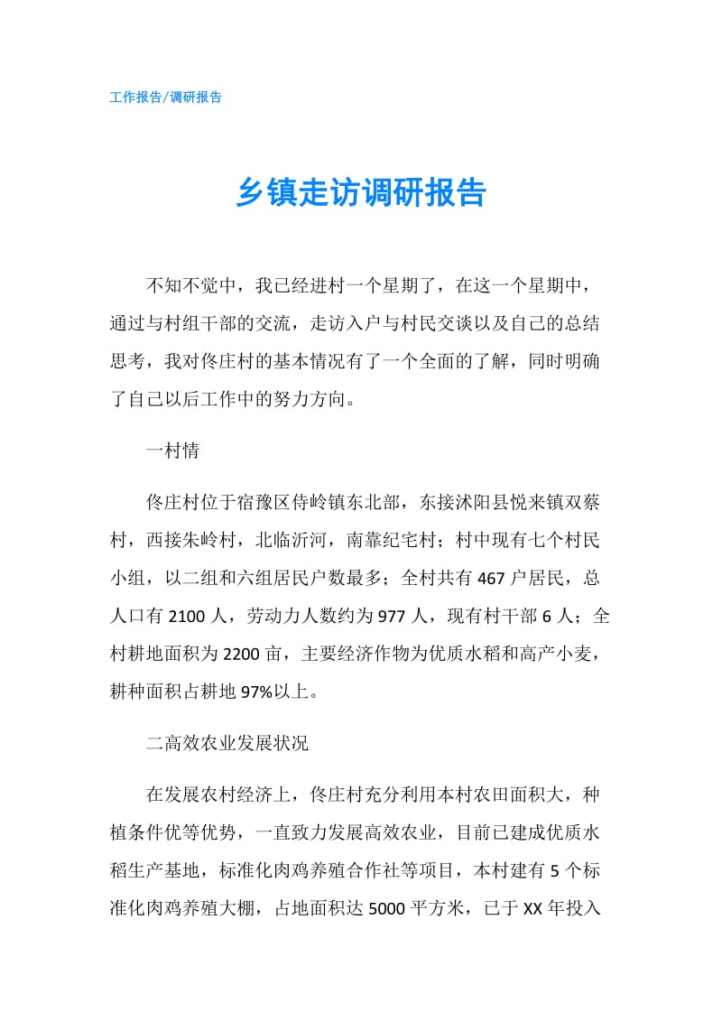 乡镇走访调研报告.doc_第1页