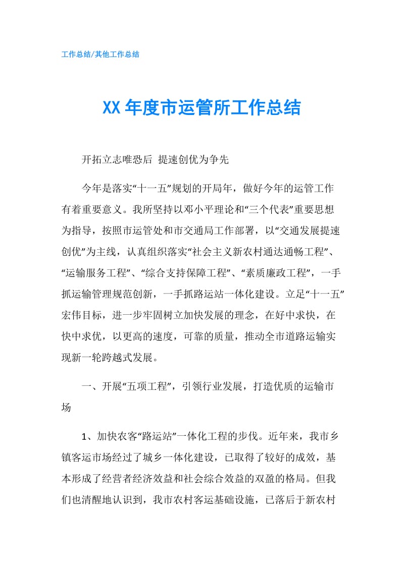 XX年度市运管所工作总结.doc_第1页