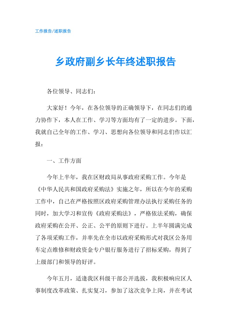 乡副乡长年终述职报告.doc_第1页