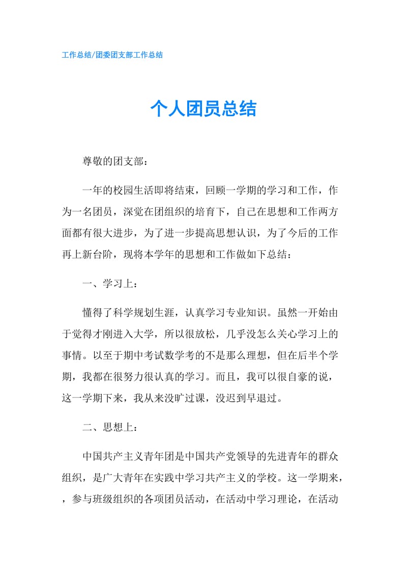 个人团员总结.doc_第1页