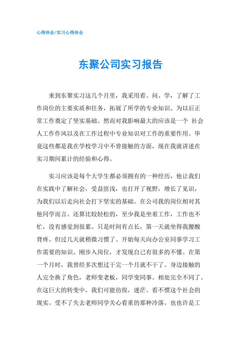 东聚公司实习报告.doc_第1页