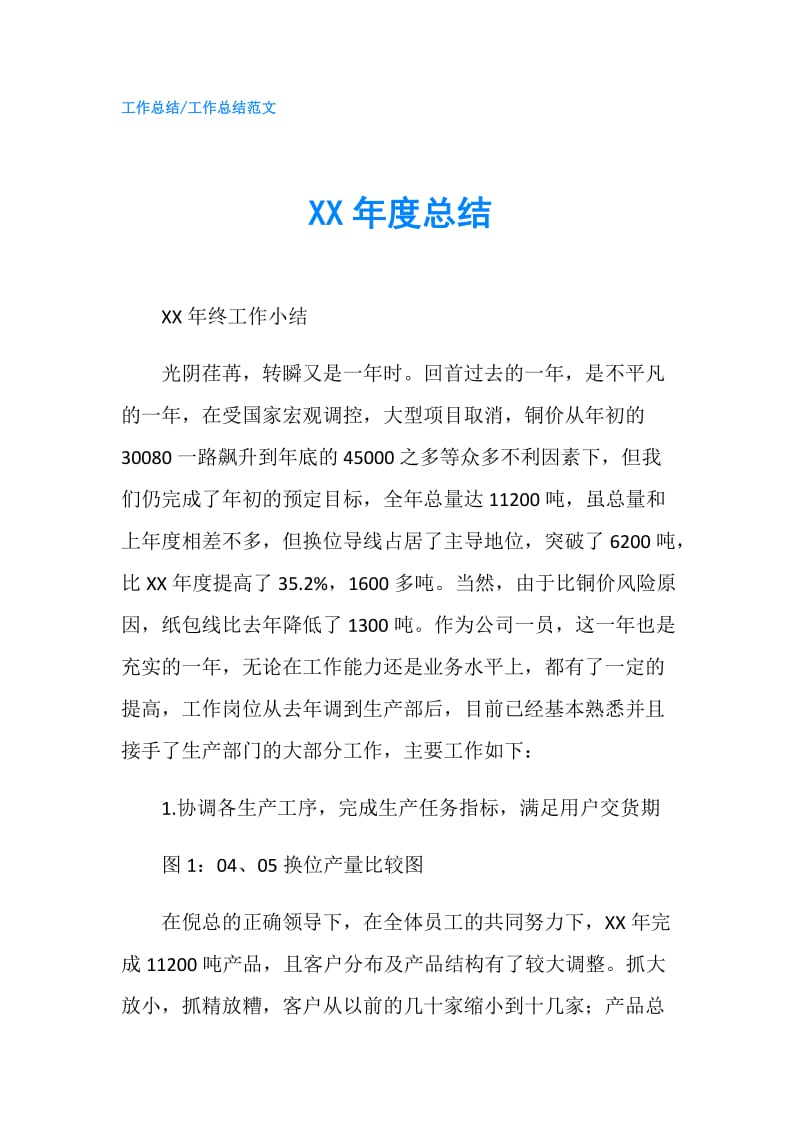 XX年度总结.doc_第1页