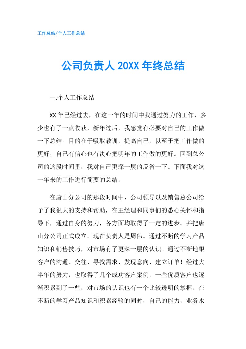 公司负责人20XX年终总结.doc_第1页