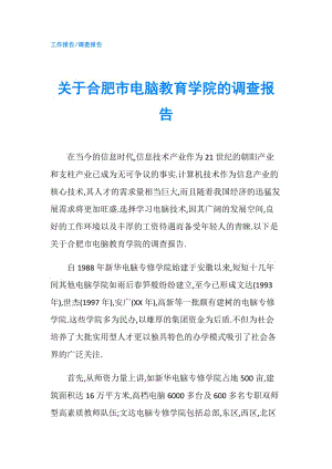 關于合肥市電腦教育學院的調查報告.doc