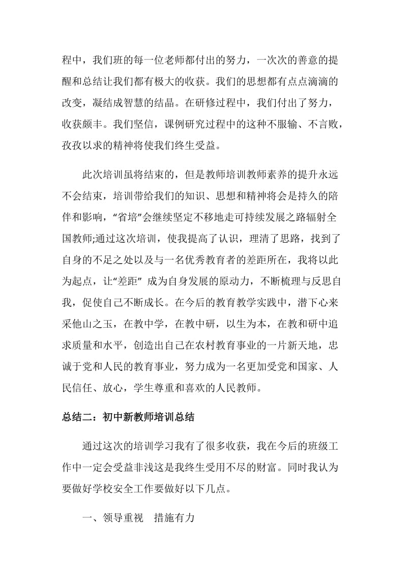 初中新教师培训总结2019.doc_第3页