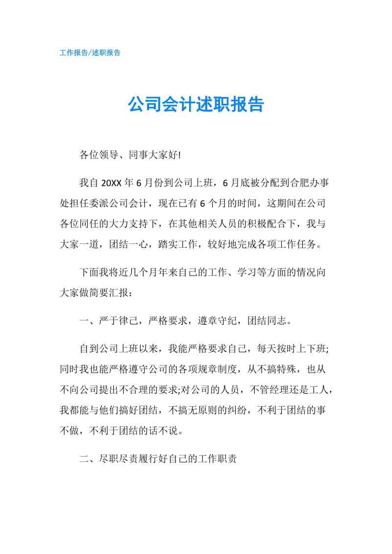 公司会计述职报告.doc_第1页