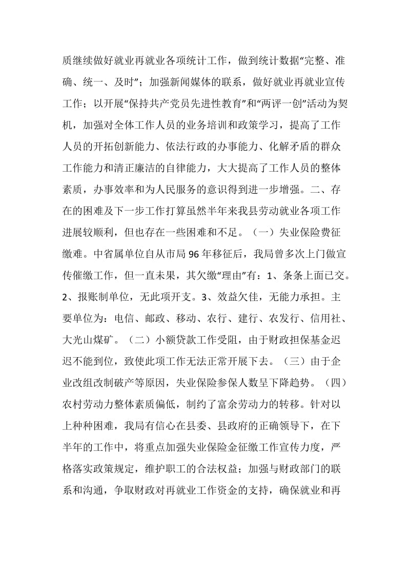 劳动就业服务管理局上半年工作总结.doc_第3页