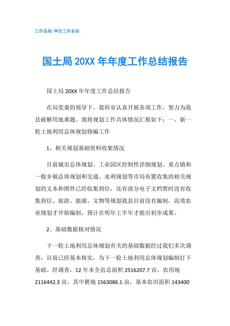 国土局20XX年年度工作总结报告.doc_第1页