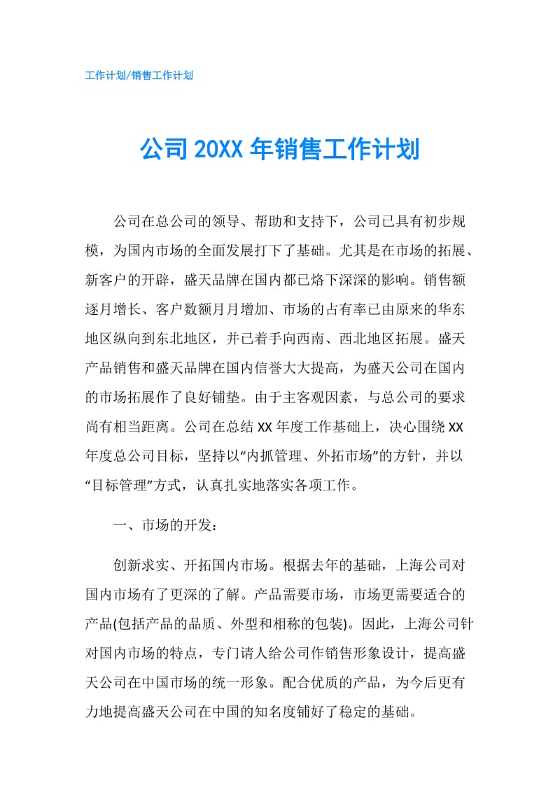 公司20XX年销售工作计划.doc_第1页