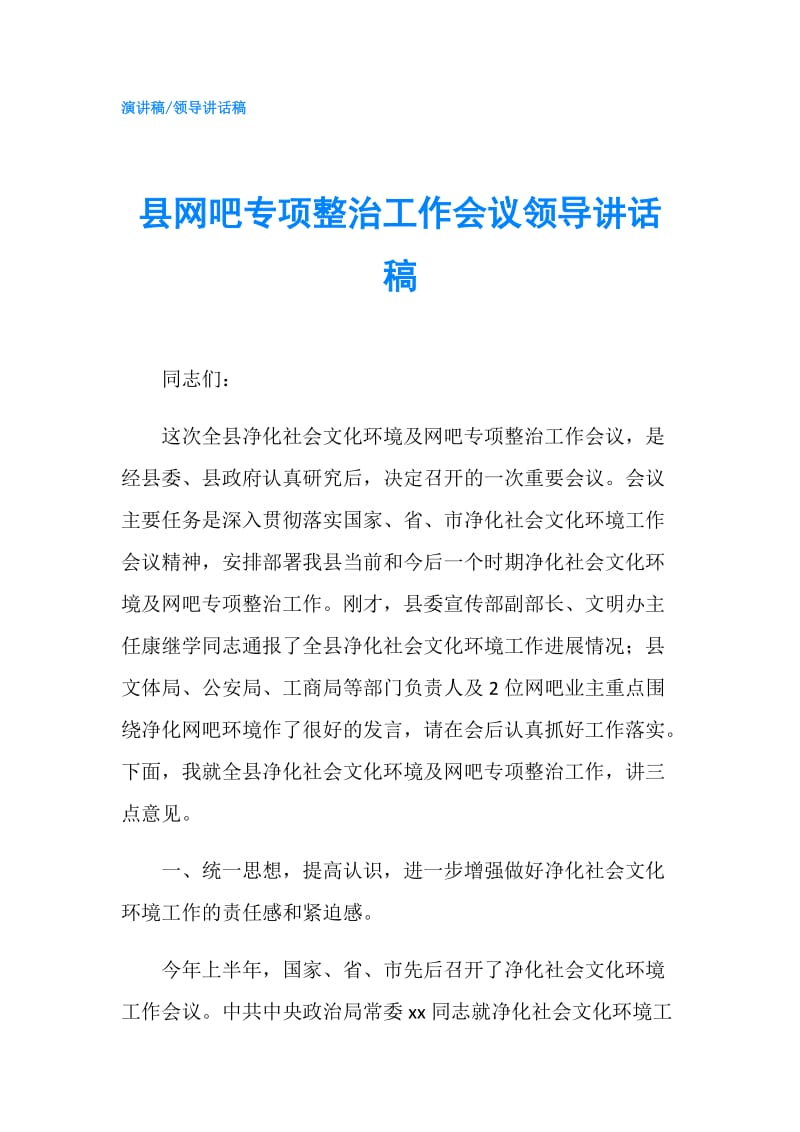 县网吧专项整治工作会议领导讲话稿.doc_第1页