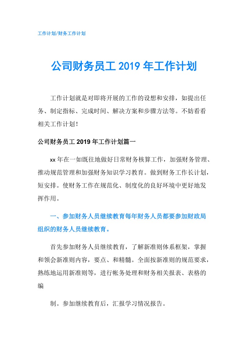 公司财务员工2019年工作计划.doc_第1页