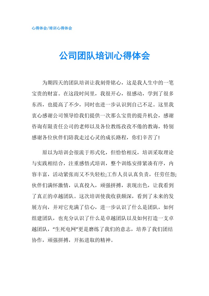 公司团队培训心得体会.doc_第1页