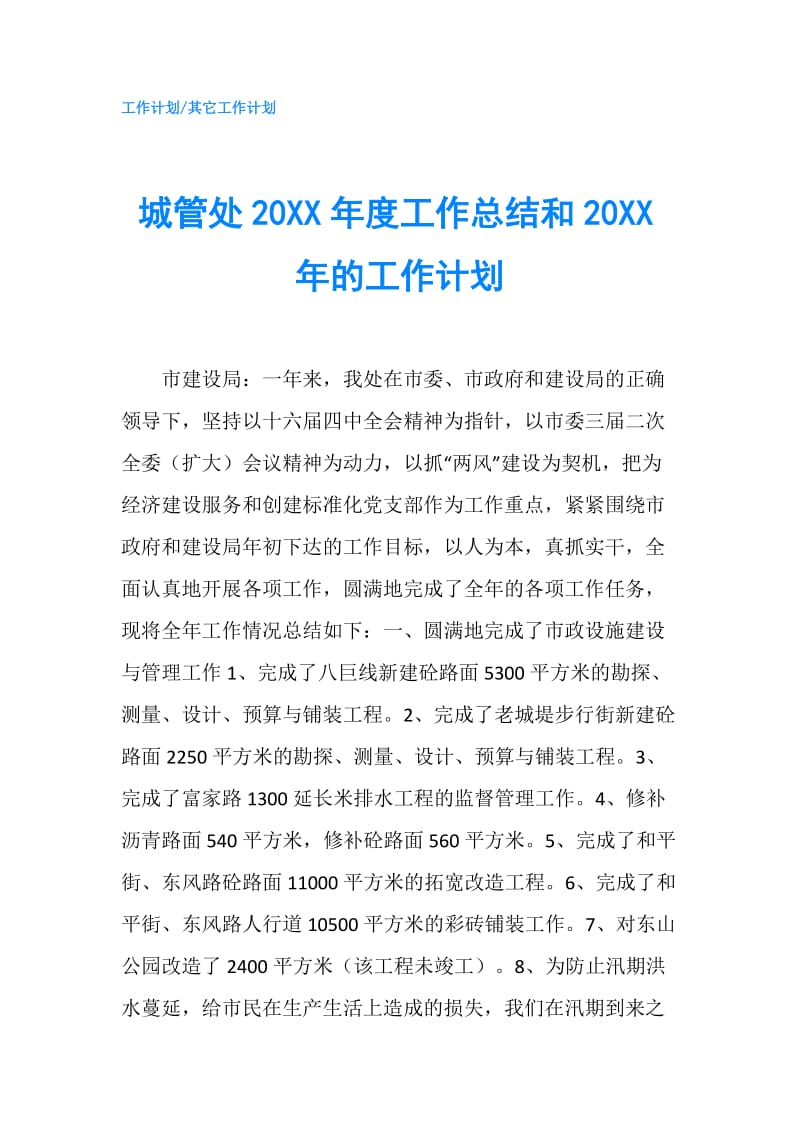 城管处20XX年度工作总结和20XX年的工作计划.doc_第1页