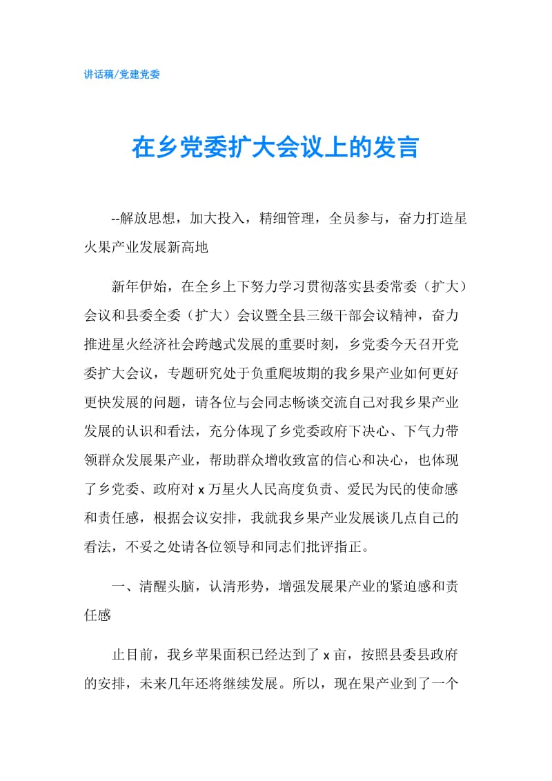 在乡党委扩大会议上的发言.doc_第1页