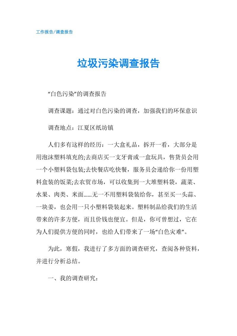 垃圾污染调查报告.doc_第1页