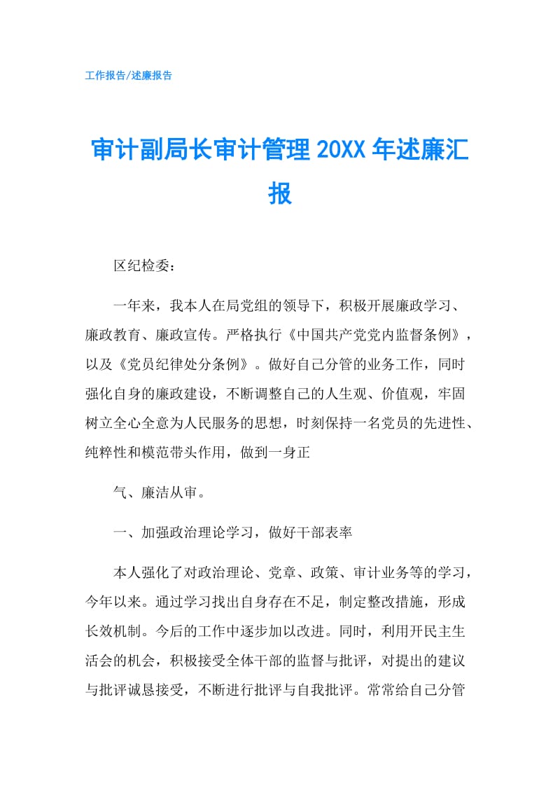 审计副局长审计管理20XX年述廉汇报.doc_第1页