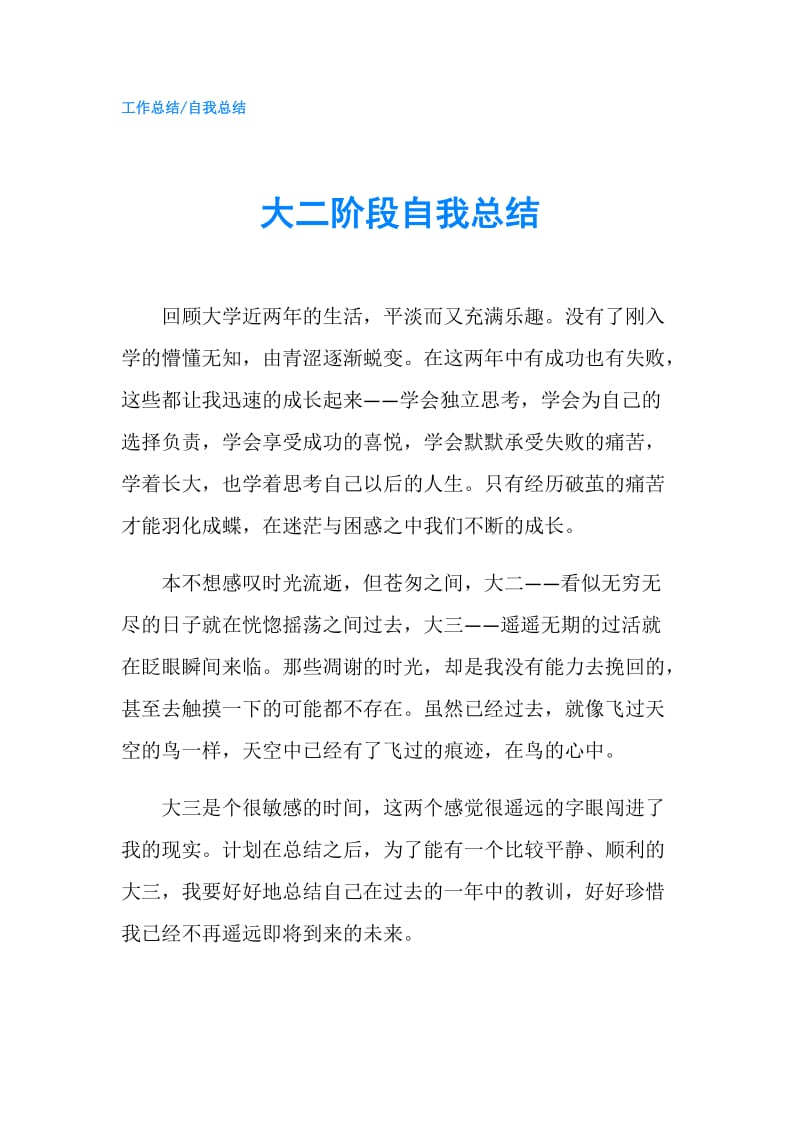 大二阶段自我总结.doc_第1页