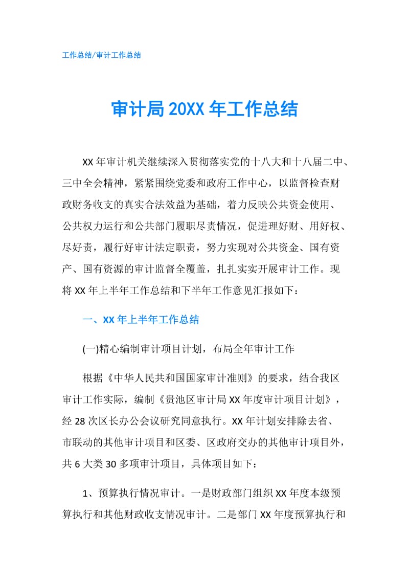 审计局20XX年工作总结.doc_第1页