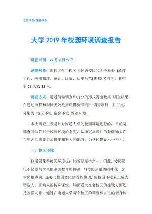 大學2019年校園環(huán)境調(diào)查報告.doc