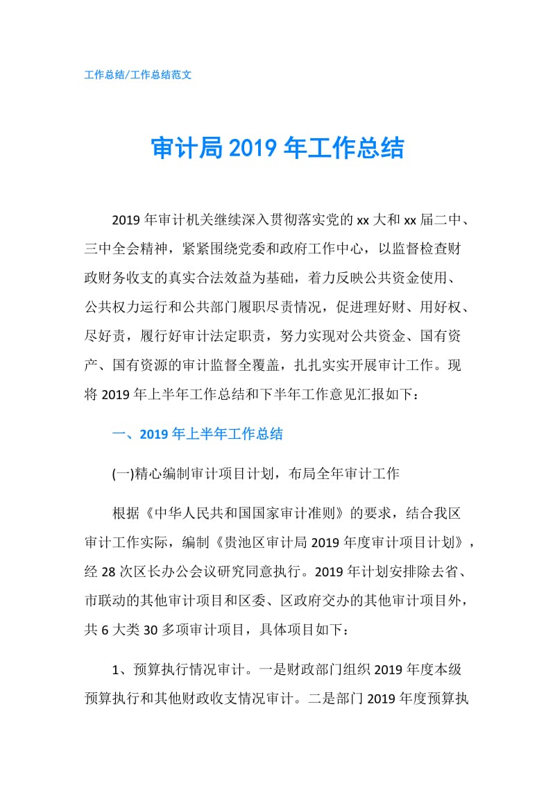 审计局2019年工作总结.doc_第1页