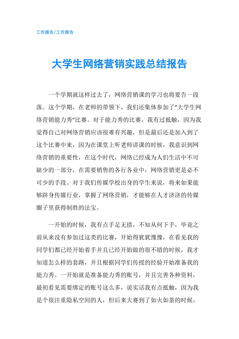 大学生网络营销实践总结报告.doc_第1页