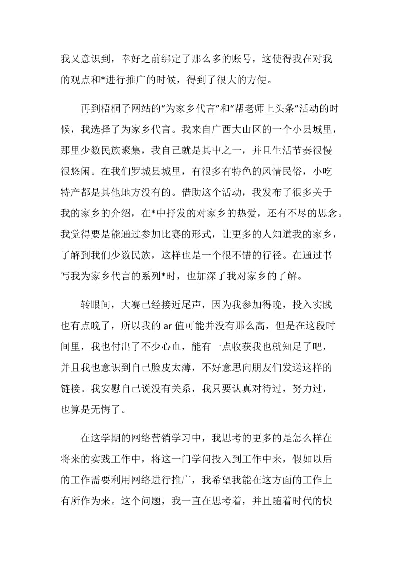 大学生网络营销实践总结报告.doc_第2页