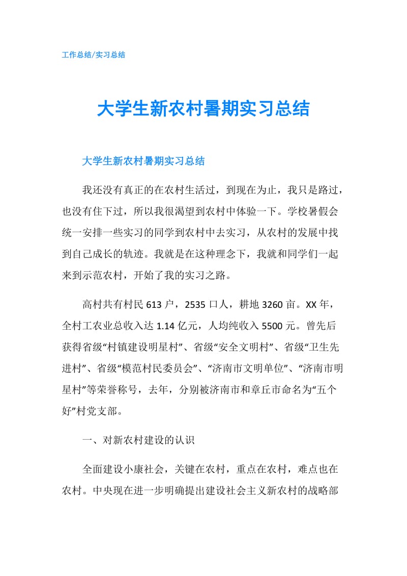 大学生新农村暑期实习总结.doc_第1页