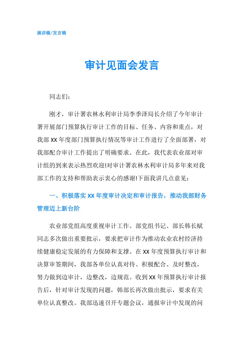 审计见面会发言.doc_第1页