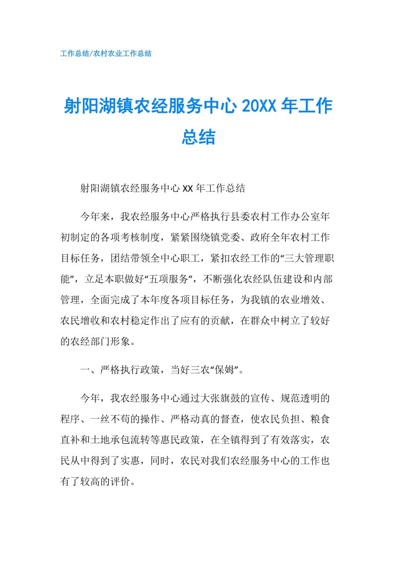 射阳湖镇农经服务中心20XX年工作总结.doc_第1页