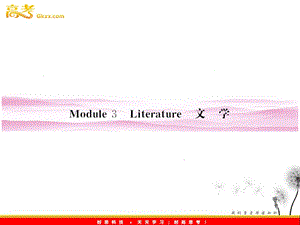 山东省高考英语总复习 Module 3　Literature课件 （外研版选修7）