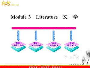 高中英语一轮复习 Module3 Literature课件 （外研版选修7）