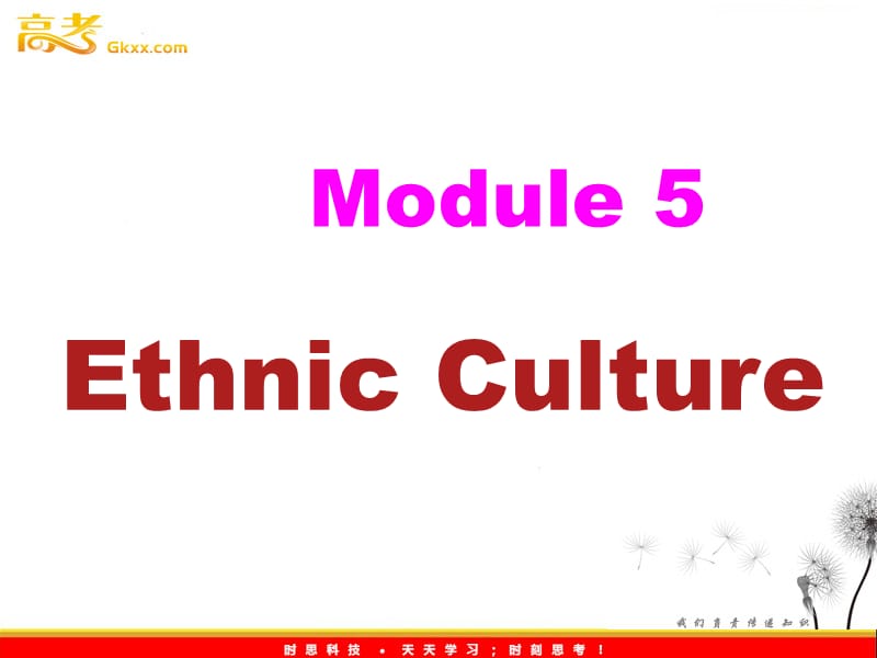 高中英语 Module 5 Ethnic Culture-introduciton and reading课件 外研版选修7_第1页