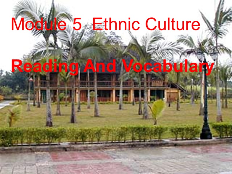 高中英语 Module 5 Ethnic Culture-reading and vocabulary课件 外研版选修7_第1页