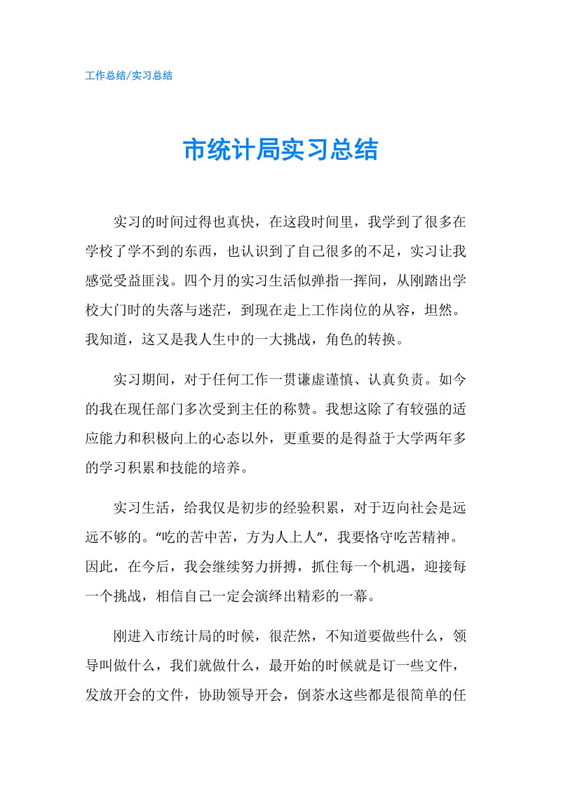 市统计局实习总结.doc_第1页