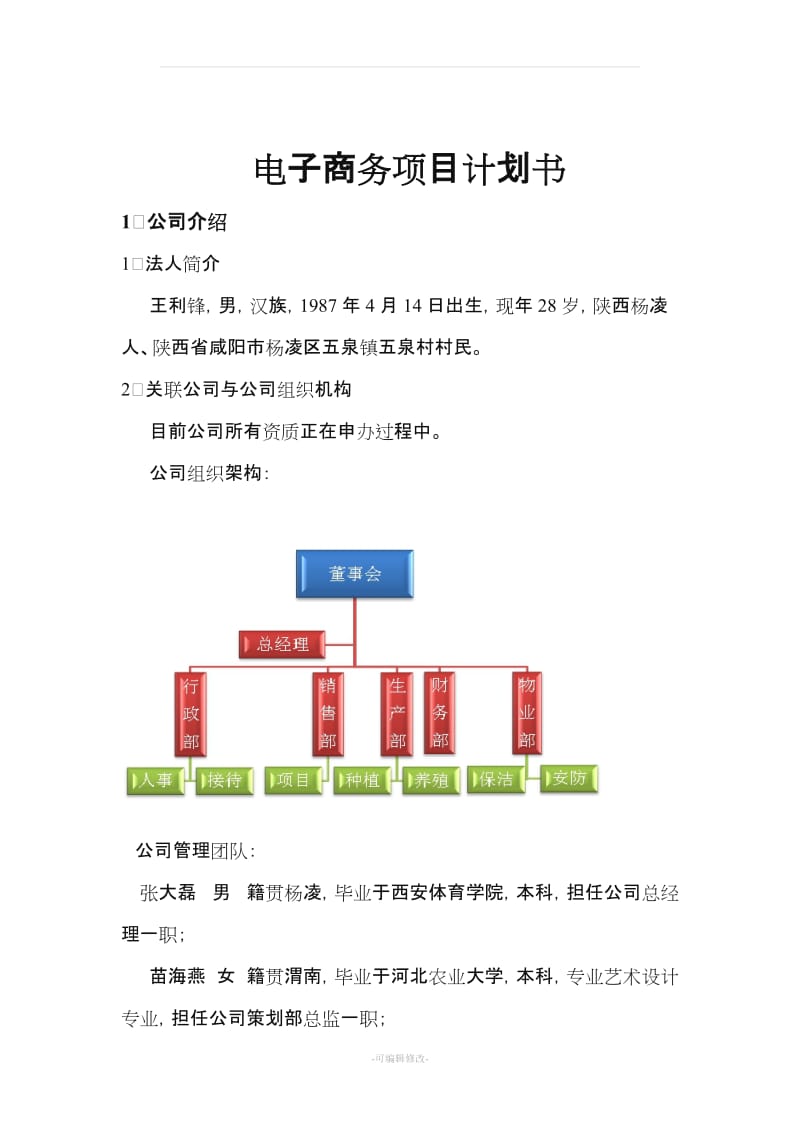 电商项目计划书.doc_第1页