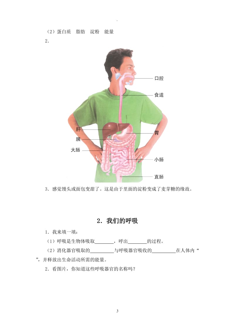 青岛版五年级下册科学练习与习题及答案.doc_第3页