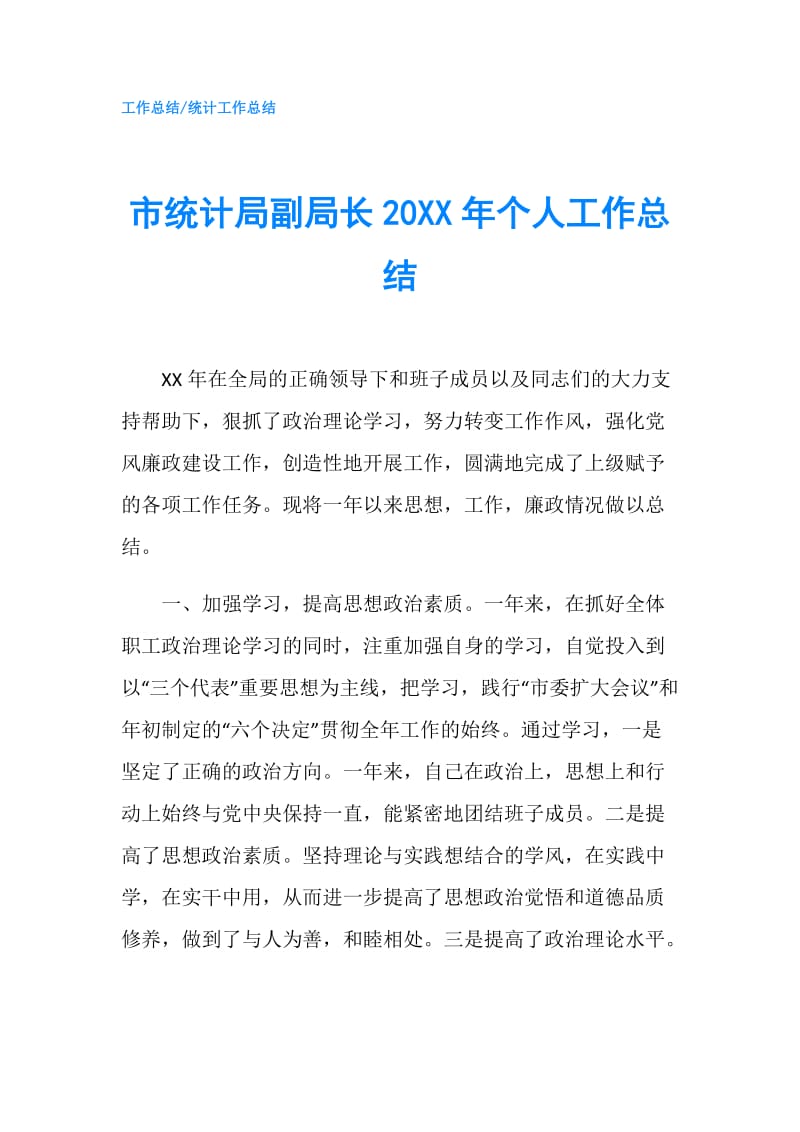 市统计局副局长20XX年个人工作总结.doc_第1页