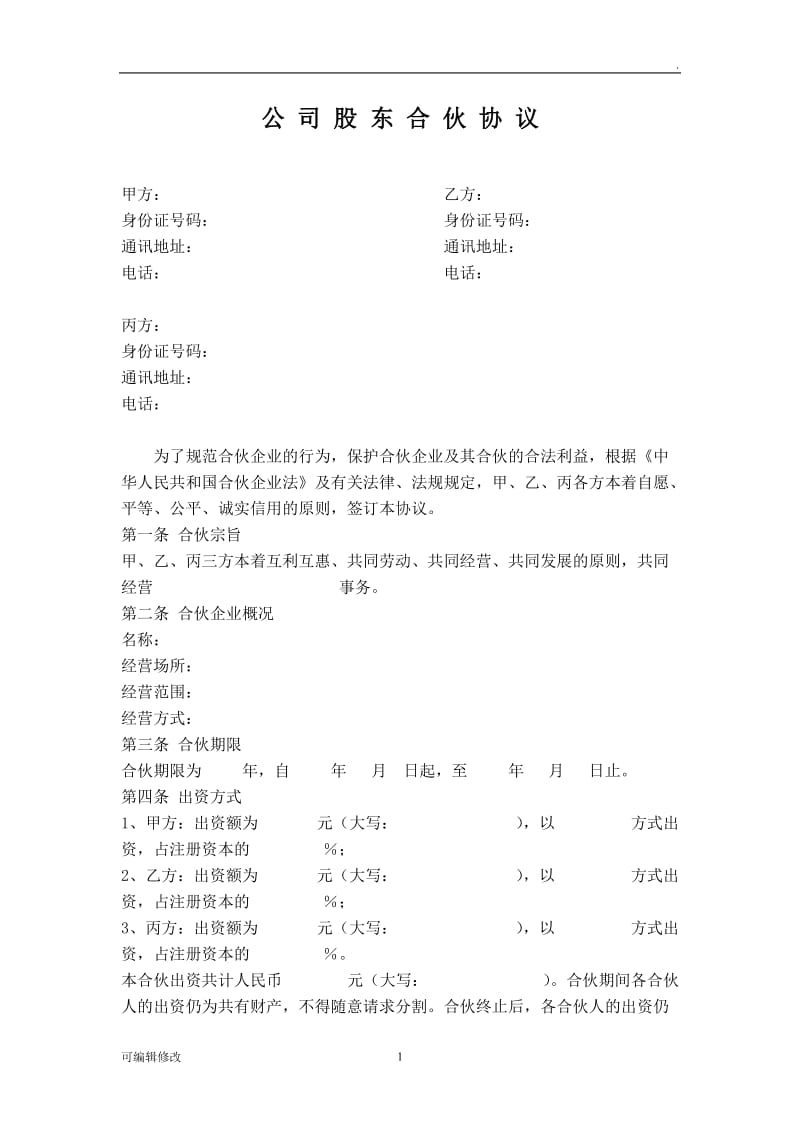 公司股东合伙协议28620.doc_第1页