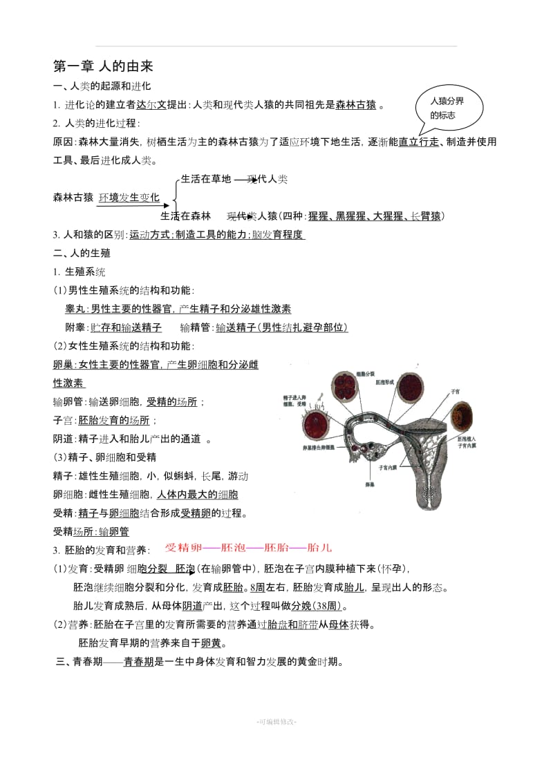 初中生物-七年级下册知识点整理.doc_第1页