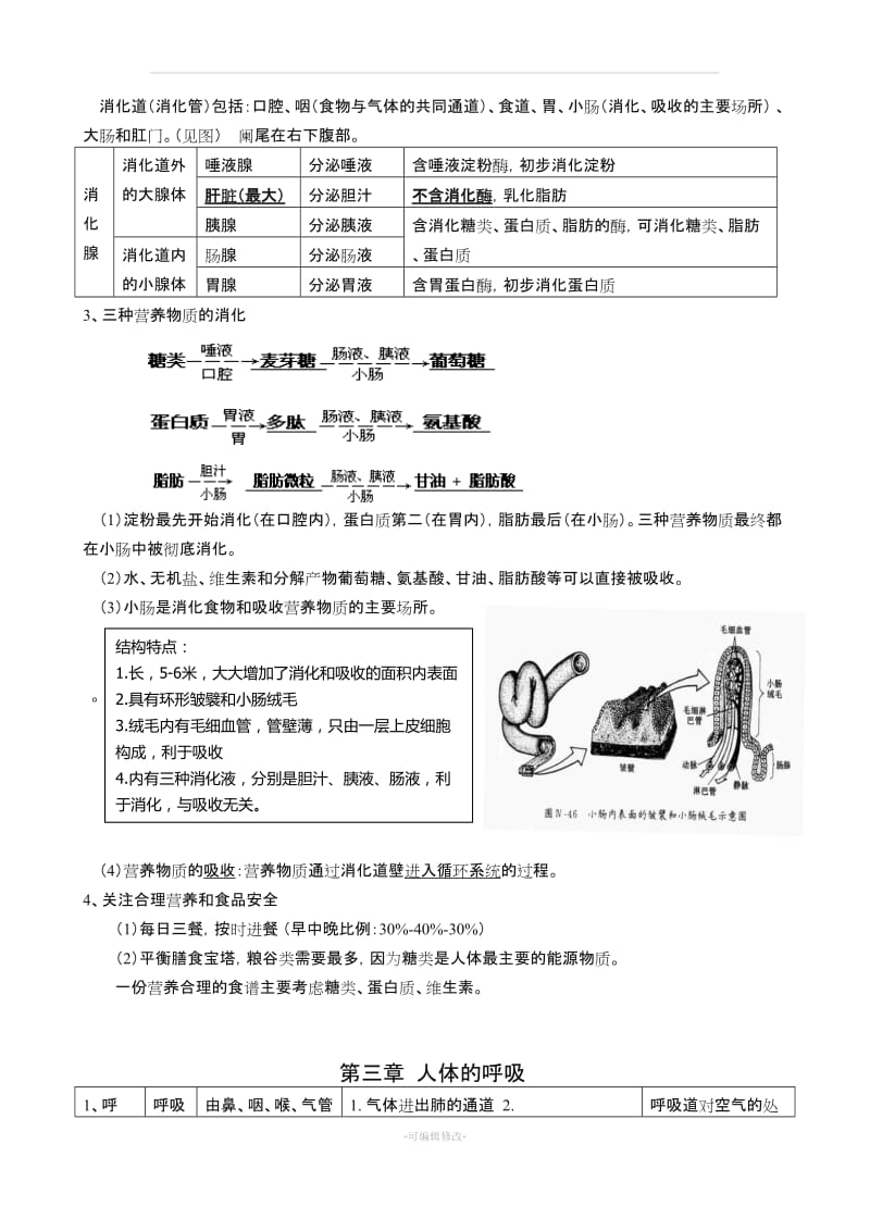 初中生物-七年级下册知识点整理.doc_第3页