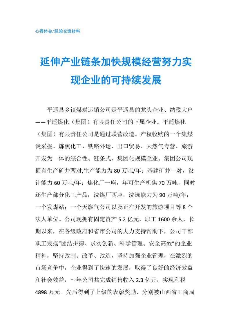 延伸产业链条加快规模经营努力实现企业的可持续发展.doc_第1页