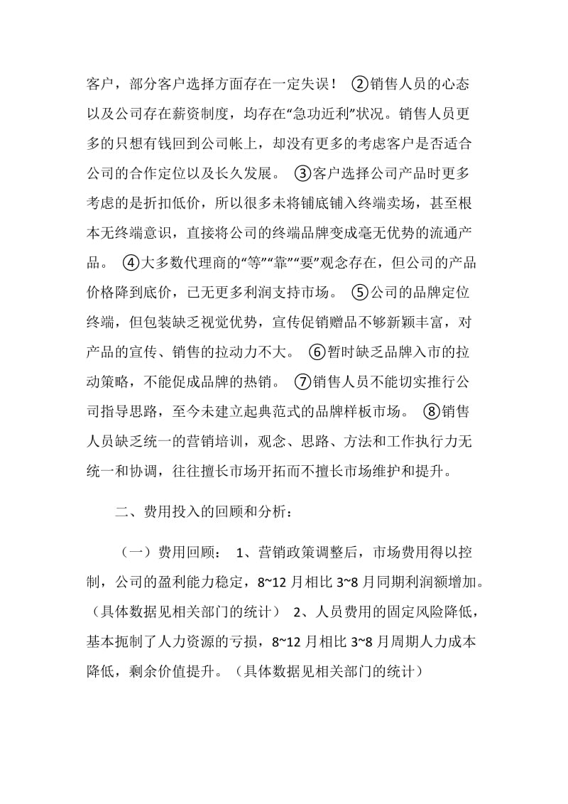 营销总监个人工作总结.doc_第2页