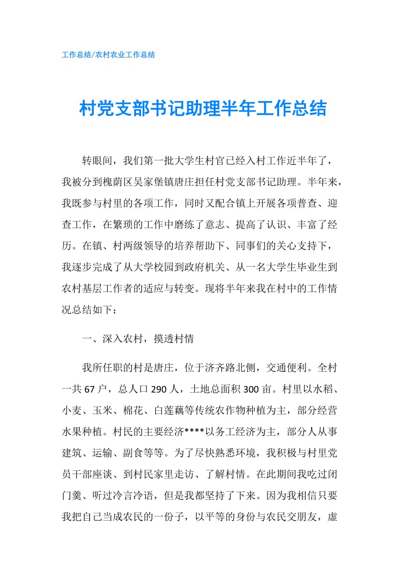 村党支部书记助理半年工作总结.doc_第1页