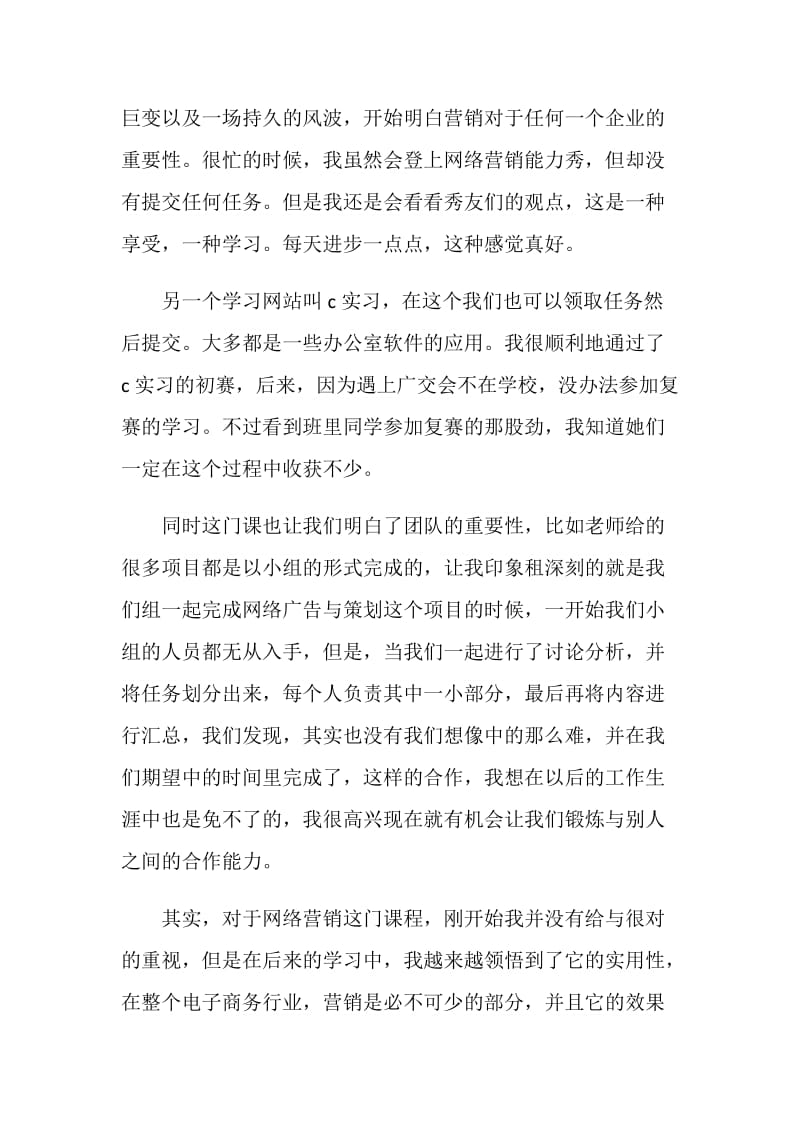 网络营销课程学习总结.doc_第2页