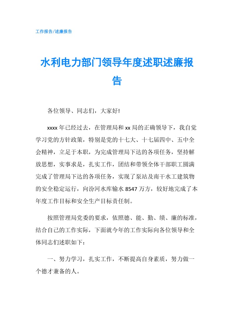 水利电力部门领导年度述职述廉报告.doc_第1页